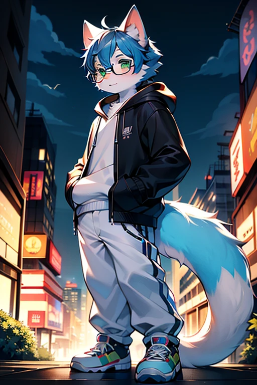 (best quality,4k,8k,high resolution,masterpiece:1.2),Ultra-detailed,(lifelike,lifelike,lifelike:1.37),blue short hair,fluffy,cute,illustration,Shota,digital painting,bright colors,Surreal,pastel color palette,soft light,hairy,Cat,Cat耳朵,Cat尾巴,green eyeale,long tail,personification,hairy艺术风格,blue fur,black hoodie,White loose trousers,sports shoes,city night view,There are God's eyes,Glasses,standing,Hand pockets)
