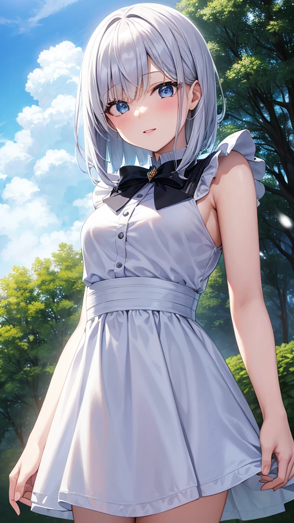 super high quality, with a girl, 20-year-old, とてもshort hair, long bangs between the eyes, pale blue eyes , blue sky, sunlight, very detailed,(masterpiece、highest quality)、alone、gray hair、laughter、White skin as clear as snow、fantasy, silver hair, black eye, beautiful eyes,, ecstasy, Charm, be smitten with audience, short hair,blue sky , sunlight,fantasyな風景,looking down from above、Knight's clothing