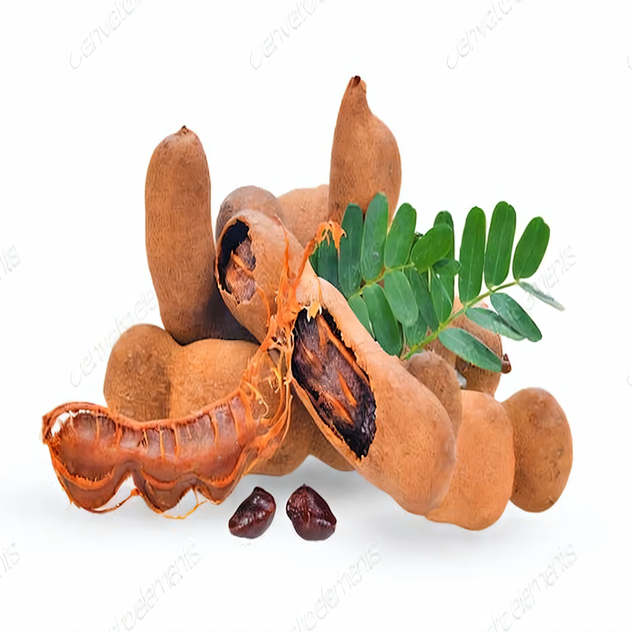 a close up of tamari fruit and leaves on white background, jungle fruit, fruitcore, eating rotting fruit, on white background, concept, strange fruits, on white background, fruit, shooting,  and beautiful nightmare, tropical fruit, nuts, pods, Potato, on a clear background, dead fruits, no background, 摄影shooting