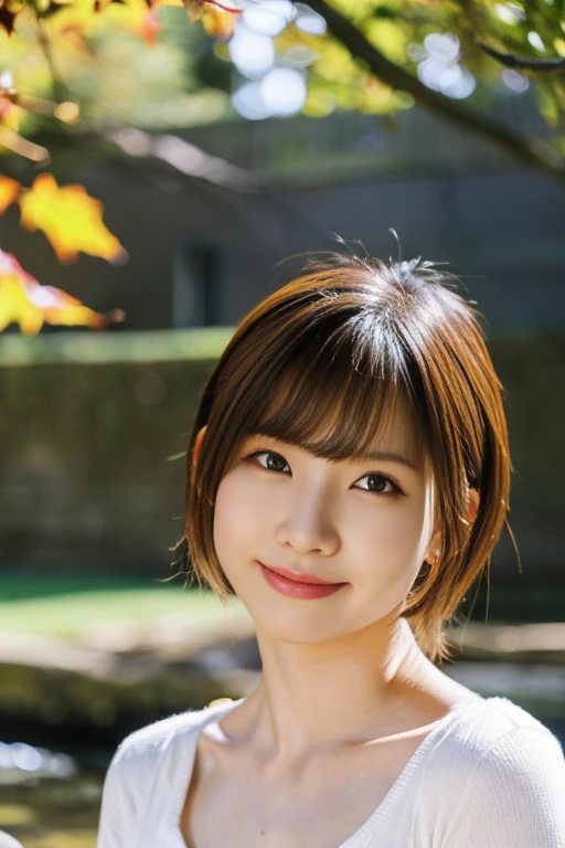 (realistic:1.3), Rembrandt&#39;s light masterpiece:1.2), (photorealistic:1.2), (highest quality), (fine skin:1.3), (intricate details), ray tracing,1 girl, japanese girl, 21 years old, fine skin texture, (blush:0.5), scattered below the surface, smile, updo hair, white blouse（Wide open chest、I can see my）, Seiza (bright sunny day, autumn setting, autumn tree々And leaves, (zen garden:1.2)