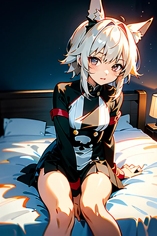 anime girl sitting on bed，There is a cat on his lap, Kantai Collection Style, From Dolls Frontline, perfect white haired girl, azur lane style, girls front line style, Cute girl anime visual, small curvaceous ****, anime moe art style, Smooth anime CG art, cute anime girl, white haired god, Best Anime 4K Kona-chan Wallpaper,CurrenChan