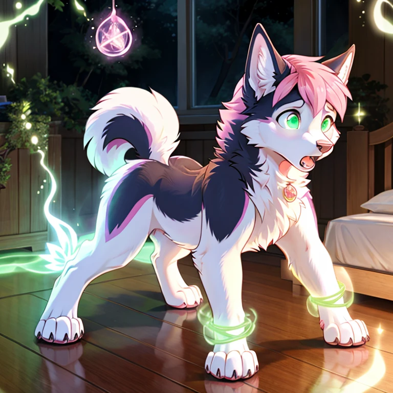 shocked feral Female husky with White and pink fur and glowing Green eyes standing on all fours there  some traces of magic floating around her she  in a bedroom