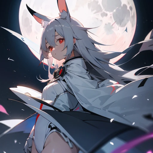 anime, girl, gray hair, White rabbit ears, White costume, red eyes, Moonlight night, full moon, complaint