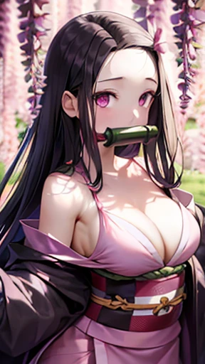 masterpiece, (pink kimono), fascinating face, good lighting, low cut, small details, masterpiece, shining eyes, 1 girl, black hair, gag, bamboo, Demon Kamado Nezuko, wisteria background, masterpiece, highest quality, throw, whole body, wide hips,big breasts、Her chest is exposed and her cleavage is visible.
