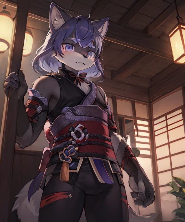 Raiden Shogun Furry