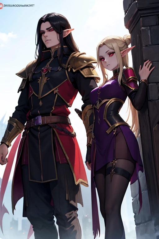 a female adult elf with weavy darkblonde hair visible forehead and demon wings wearing female purple armor next to a tall male adult good looking elf with *very long dark black hair* and red eyes wearing red armor couple dark athmosphere male with black hair