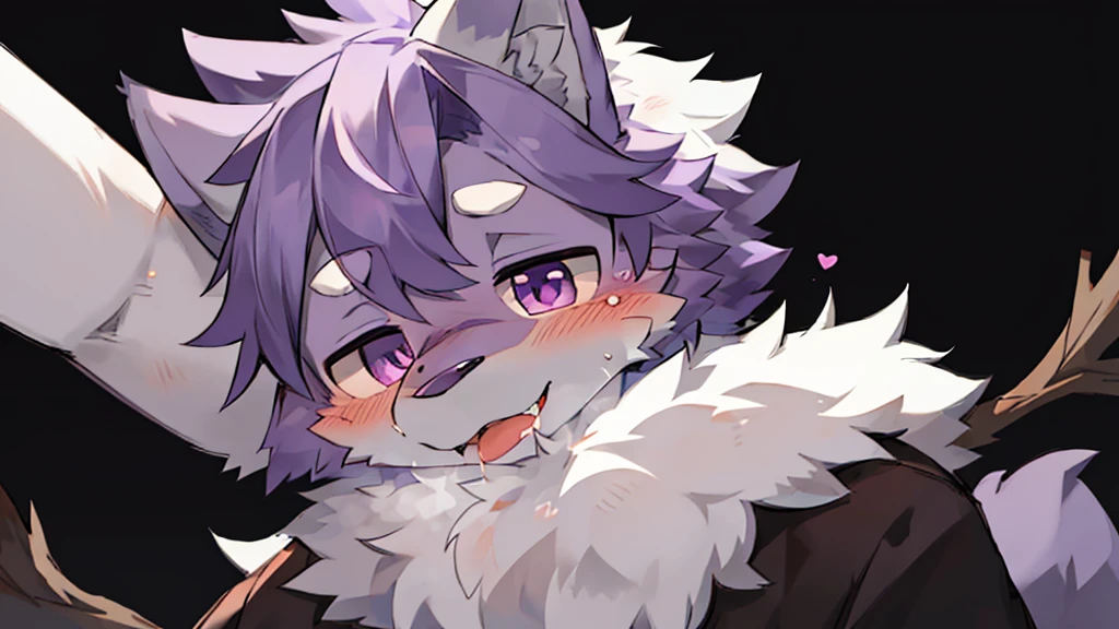 the only person,hairy男性,hairy,Wolf,canine,white fur,purple eyes,alone,stick out your tongue,Shy,There a blush on the face,Purple head,Purple ears,The eyes are full of longing,Slobber,Purple body,a dark purple tail