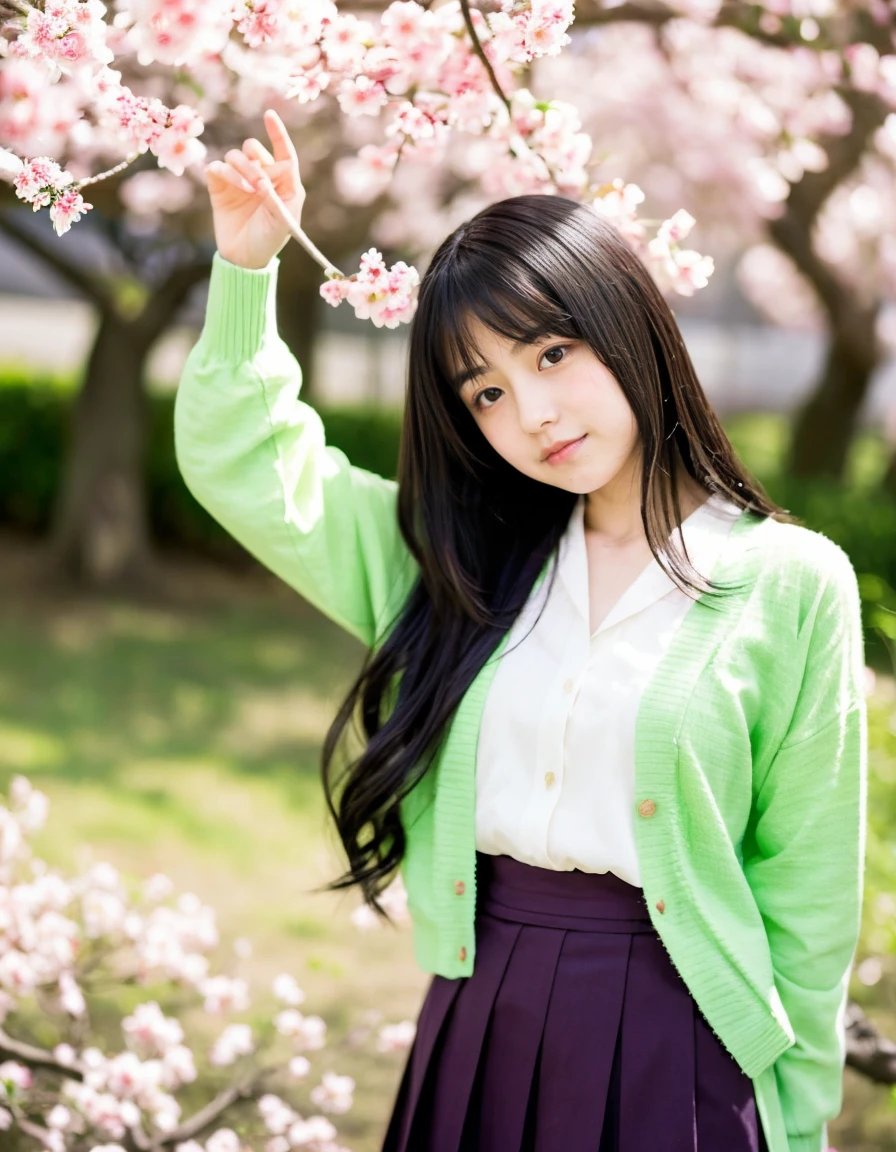 Japanese beautiful girl、、hatsuharu、(Plum blossom)、light green cardigan、black straight long hair、Barrette、Spinning、