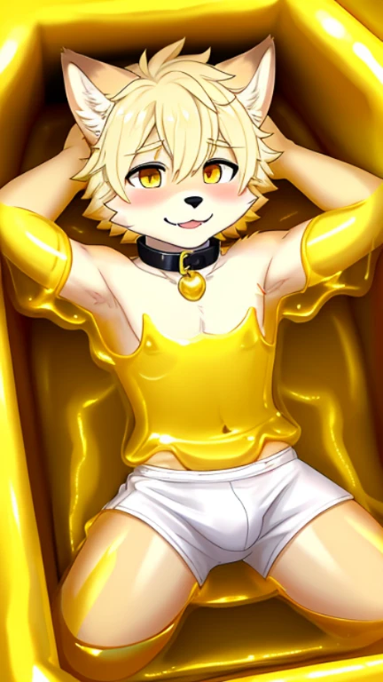A male wolf cub lies in golden slime,Wearing white boxers,covered in golden slime,Slime,Coyotes,collar,Thighs covered with mucuall into,trapped,yoke