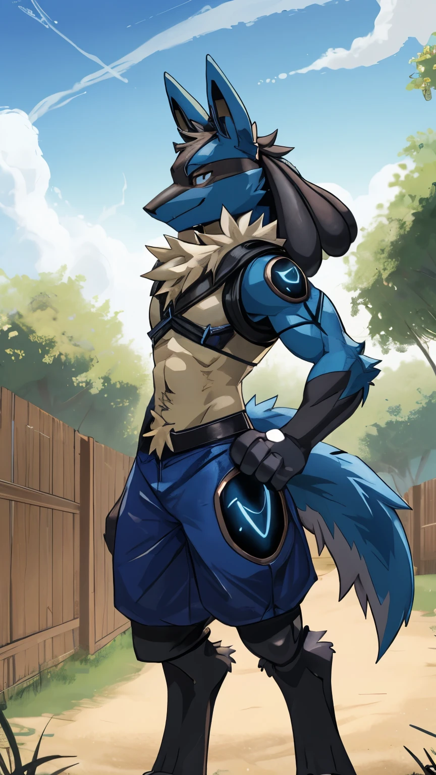 best quality, masterpiece work, high quality, Lucario (Pokemon), male lucario, (((Lucario's Fur))), (((Lucario's appearance))), protogen, Lucario × protogen, strike a pose