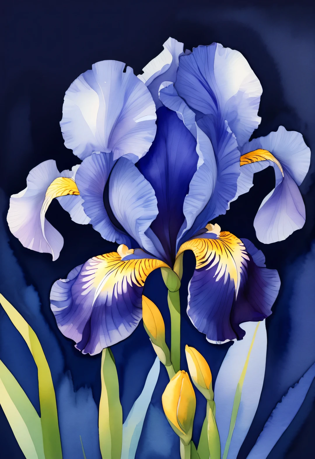 （Close-up of just one charming iris flower：1.37），minimalist style，Dark blue background，，watercolor painting，illustration