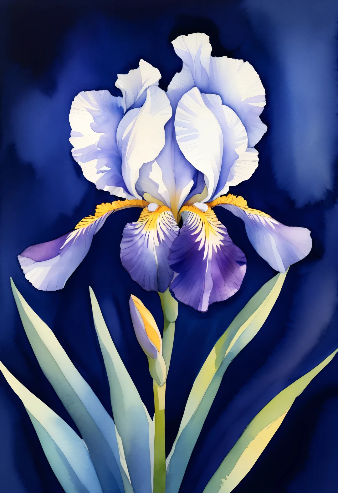 (Close-up of just one charming iris flower:1.37),minimalist style,Dark blue background,,watercolor painting,illustration