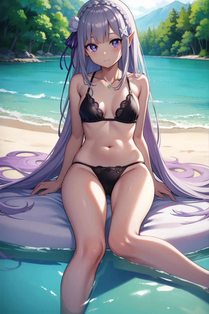 リゼロemilia、emilia、Braid、クラウンBraid、flower、髪flower、hair ornaments、hair ribbon、long hair、pointed ears、(purple eyes:1.2)、gray hair、xhair ornaments、 BREAK detach color、Small area black bikini、bikini swimwear、Absolute Ryoiki、 BREAK Outdoor、sandy beach、 Looking at BREAK viewer、BREAK(masterpiece:1.2)、Highest image quality、High resolution、unified 8k wallpaper、(An illustration:0.8)、(beautiful detailed eyes:1.6)、highly detailed face、perfect lighting、Highly detailed CG、(perfect hands、perfect anatomy)、smile、Sitting with legs open