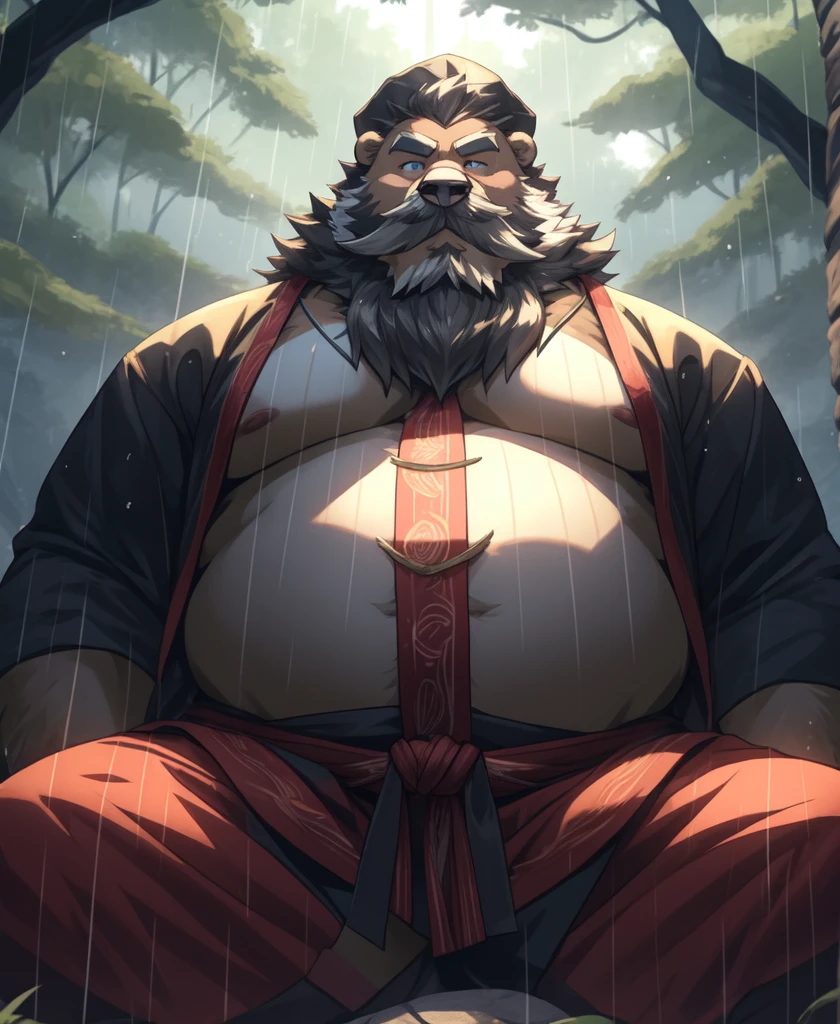 anthro, male, old chubby bear, Old man, detailed eyes, detailed clothing, big fat. overweight, white beard, Samurai clothes, eyes open, forest background, raining, sitting meditation on big rock (wild_long_Beard), (mustache), pov Faraway view,