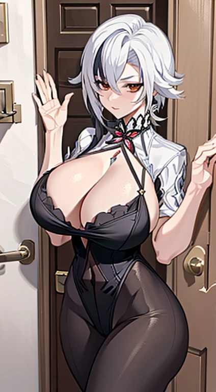 NSFW, arlecchino, arlecchino from genshin impact, big tits, super huge tits, cool girl, a quiet and serious girl, badass, firm expression, erotic model pose, full body, hot milking, mommy, will dominate me, hot body, lewd girl, waiting for sex, very begging for sex, Can't resist lustful desires, ((greeted behind the door)), maid costume