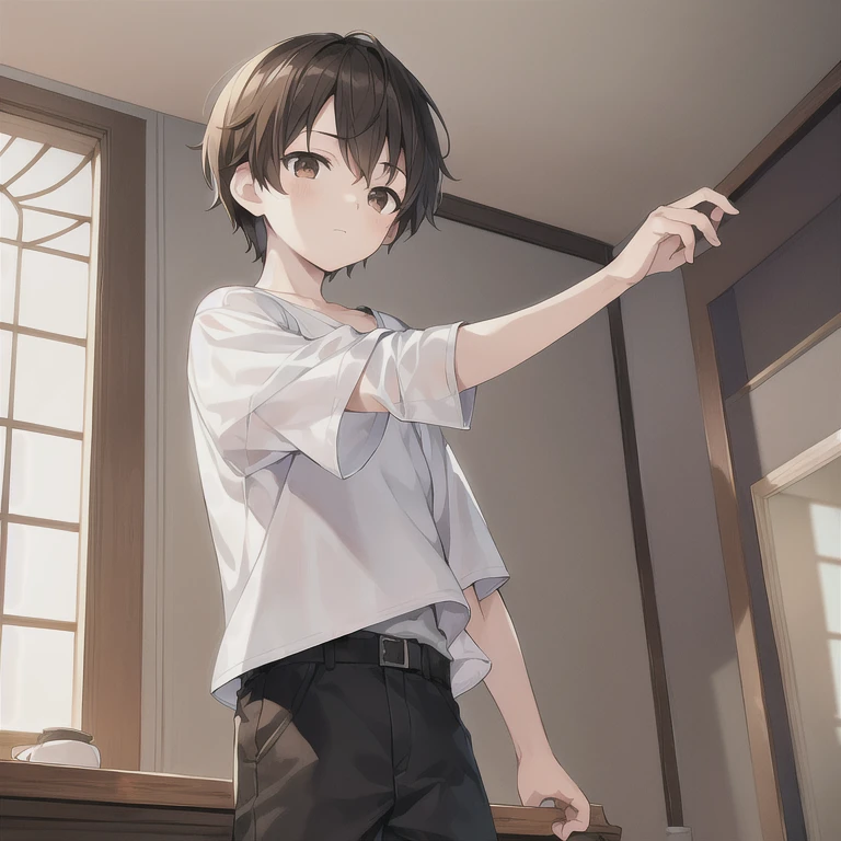 masterpiece, best quality, HDR, 1boy, solo, child, straight hair, short hair, brown hair, brown eyes, white shirt, black shorts, standing, living room