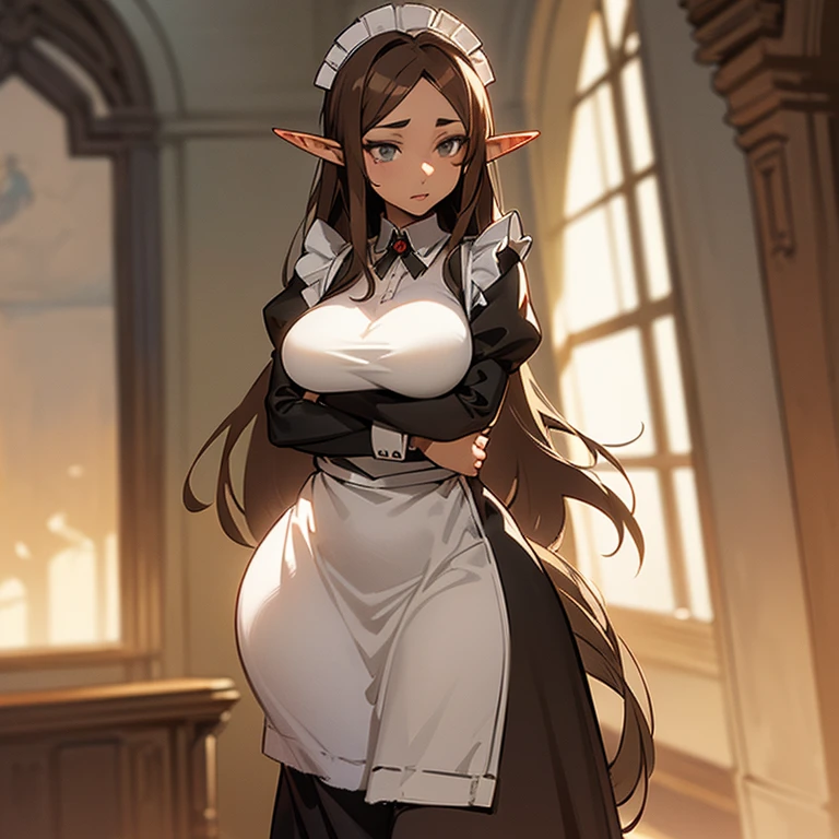 (((An elf woman alone))),(((light skin))),(((long brown hair))),(((grey eyes))),(curvy body),(((wearing a maid outfit)))