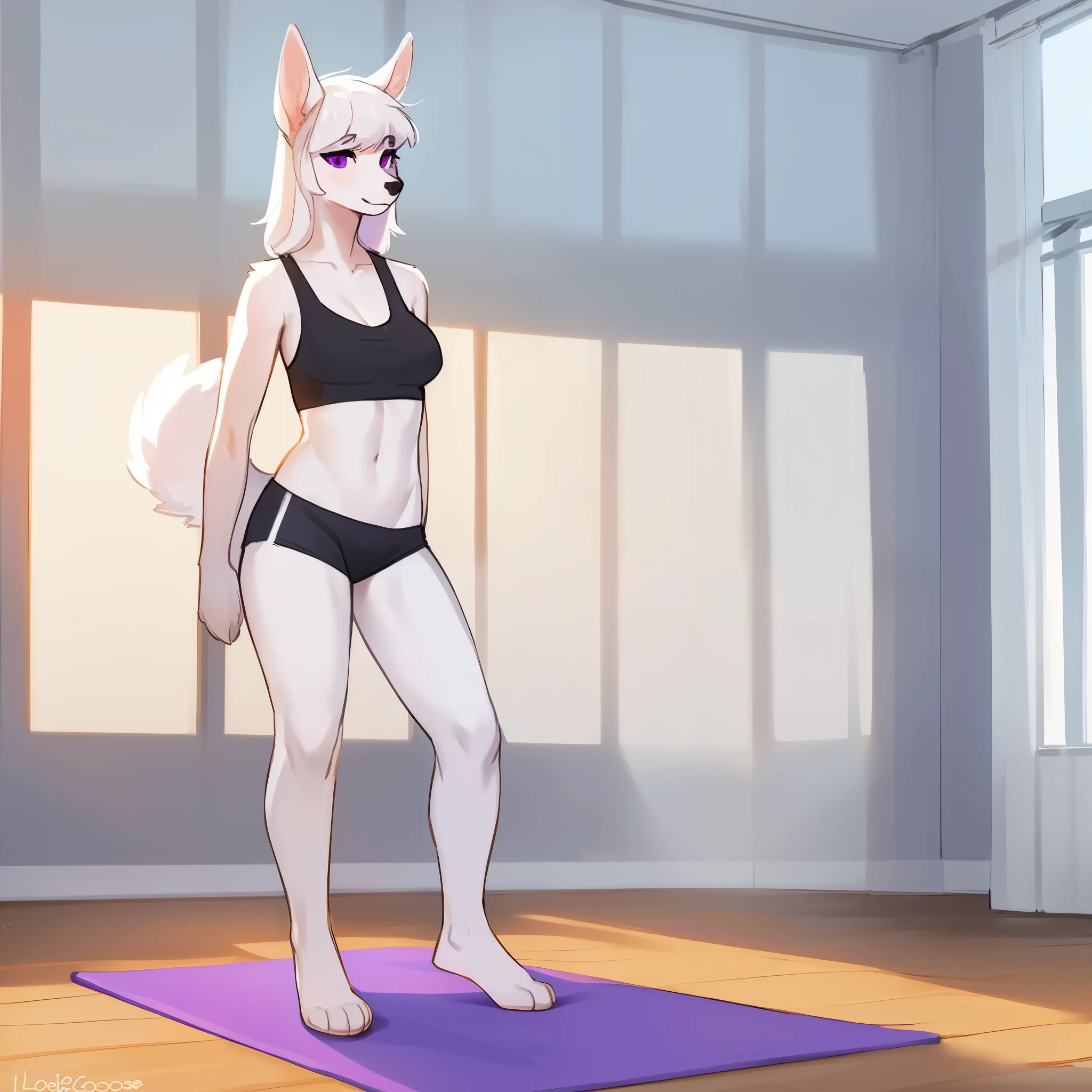 By bebebebebe, by lostgoose, by goonie-san, solo, ((snout, ears)), a white wolf, white tail, white ears, purple eyes, female, medium breasts, black tank top, black short shorts, plantigrade feet, beautiful feet, feet paws, 4 toes, pony tail,  long white hair, tall and slender, snout, black nose, standing, posing playfully, in a yoga studio, 