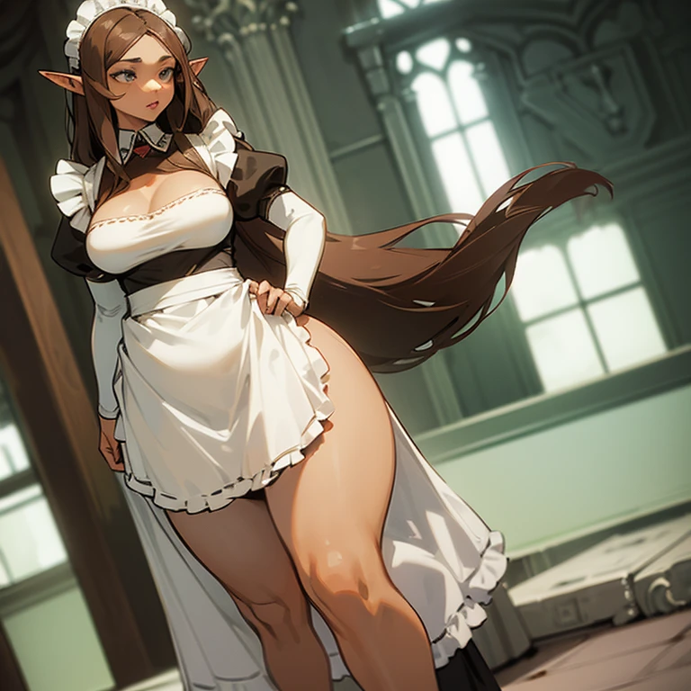 (((An elf woman alone))),(((light skin))),(((long brown hair))),(((grey eyes))),(curvy body),(((wearing a maid outfit)))