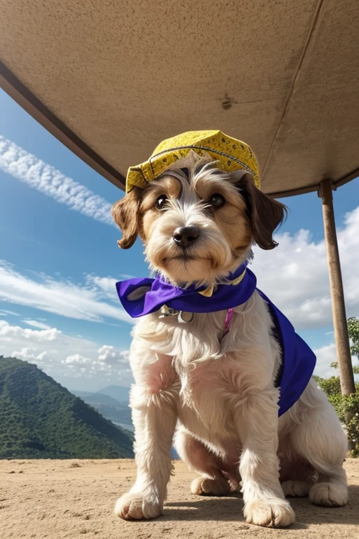 breed dog, yorkshíre Terrier, Maltese, fofos posando para uma foto usando roupas fofas, luxurious hat, ties, bandanas, vestido, Cores fofas, children&#39;s clothing colors for dogs. low angle view, eye level shot (virilha),Just huge morbid thighs, gordinhas, extremamente grossas;,work-rhyme, melhor qualidade, (vista frontal), (vista da minhoca&#39;olhos), perspectiva do olho do minhoca, low angle