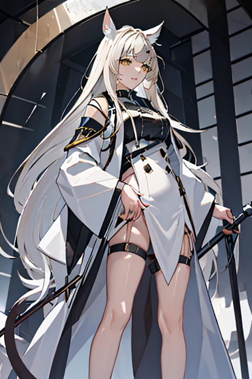 best quality, masterpiece, highres, solo, {platinum_arknights:1.15}, animal_ears, long_hair, bangs, horse_ears, white_hair, animal_ear_fluff, yellow_eyes, upper_body, very_long_hair, brown_eyes, 1girl, full body ,looking_at_viewer, simple_background, white_background, high_collar, parted_lips, portrait, sidelocks, white_jacket,from below