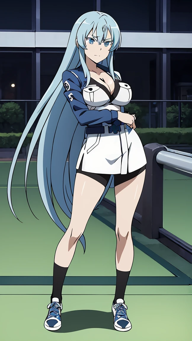 (Masterpiece:1.2),expressive eyes, perfect face, beautiful blue eyes, blue hair, very long hair,((1girl,solo)), Esdeath (Akame ga Kill), anime office art style, large breasts, vibrant colors,full body shots, ((jacket,gym short )),background streets night time 