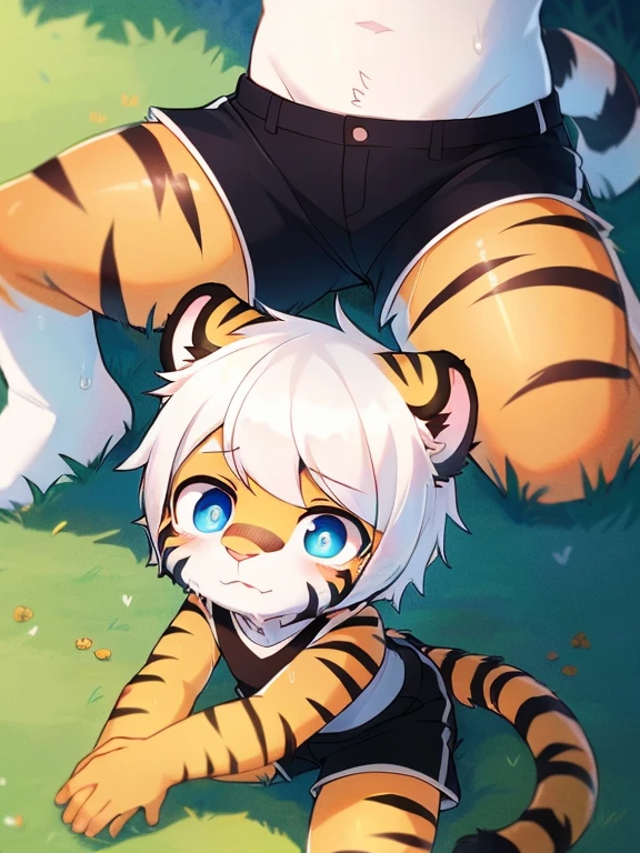 （4k，8k，best quality，meticulous details，Delicate light，Delicate short hair）（wet fur 1.4）Tiger cubs，White hair，dark blue pupils，There is something strange，surprise，touch your face，black shorts，big blue striped tail，Little fresh，sit on the grass，Shota