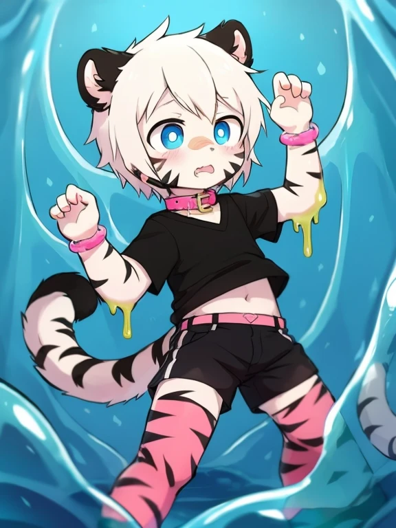 （4k，8k，best quality，meticulous details，Delicate light，Delicate short hair）Tiger cubs，White hair，dark blue pupils，There is something strange，surprise，touch slime，black shorts，big blue striped tail，Little fresh，Sneak into the slime，Enter the slime，Shota，Pink ankle ring，Pink bracelet，Pink leg rings，pink collar