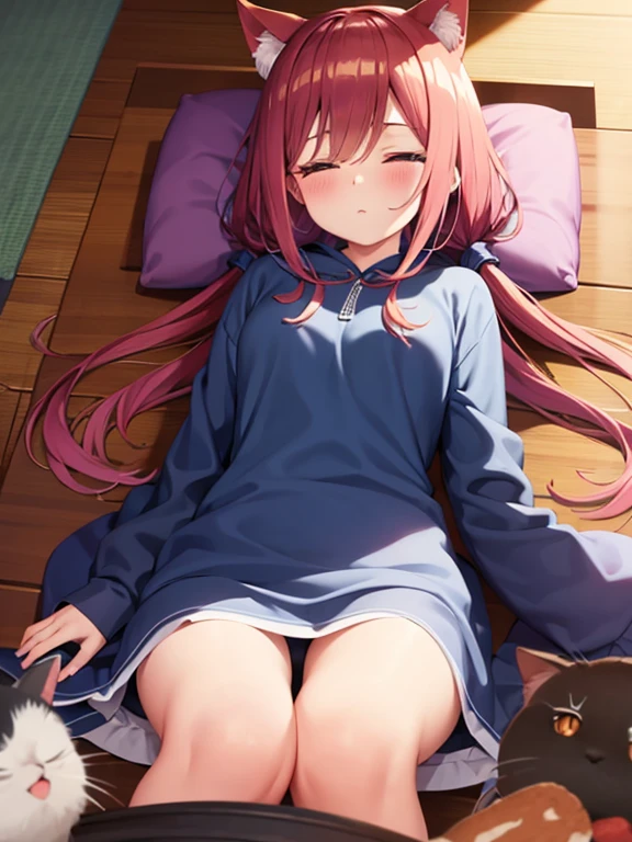 masterpiece, best quality, high resolution, 
(sleeping girl and cat), Lying on bed,1cat, fetal position, closed_eyes, 
私服, ミニスカート,白いパンティ,
top view, bed_sheet,add_detail:1,パンティ見えてる,