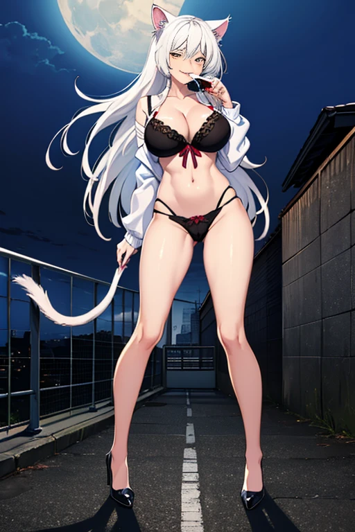 masterpiece, high resolution, best quality, beautiful art, 1 woman, solo, Hanekawa, long white hair, cat ears, cat tail, big breasted, cleavage, , black bra, black panties, sexy smirk, she licks blood from her fingers, drinking it, looking at the viewer devilishly, full body, under the full moon