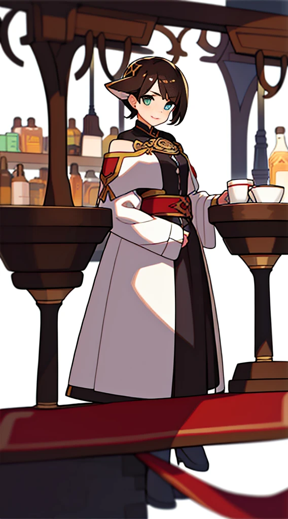 solo female, (((blurry background, white background))), character focus, fantasy clothes, standing, character design, pub, bar,