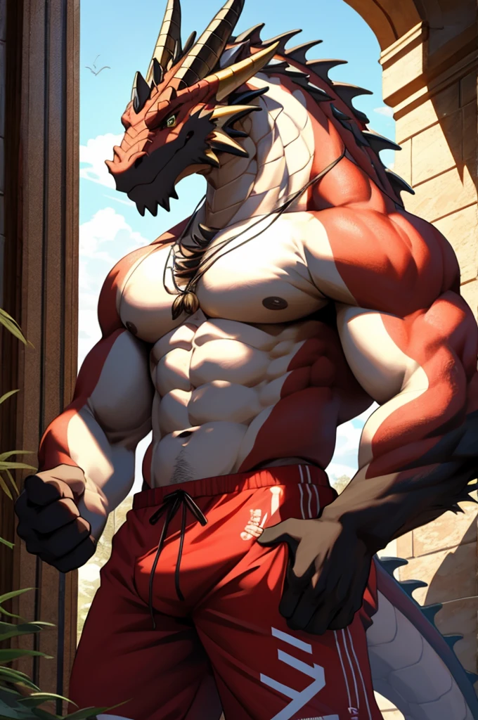 Masterpieceы, fluffy, Male, anthropomorphic,   Emirates dragon,veiny, athletic body, tender eyes, shiny body, Street Thug, anime, depth of field, perfect lighting, (Best quality),(Masterpiece),(ultra detailed), sharp focus, detailed background, black boxer, shirtless, fierce look, Soldier&#39;s look, whole body, Six pack abs, black nipples, black gloves,Glossy leather