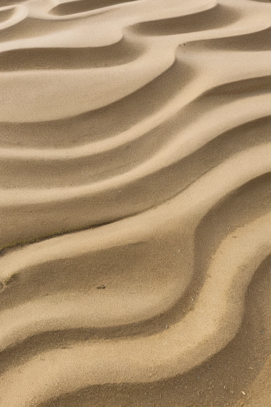 Sand beach, close-up, ignore: BriXL