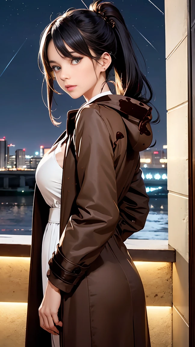 winter in japan, woman1people々, (black hair ponytail), She has beautiful sparkling purple eye color, curvaceous body, D cup breasts, big ass, ((smooth chocolate crust:1.5)), masterpiece, highest quality,(realistic: 1.4),ultra high resolution, unity 8k, (fine and beautiful eyes:1.6),symmetry, highly detailed face, perfect lighting, (perfect hands, perfect anatomy), ((night park:1.4)), ((gown coat:1.3))