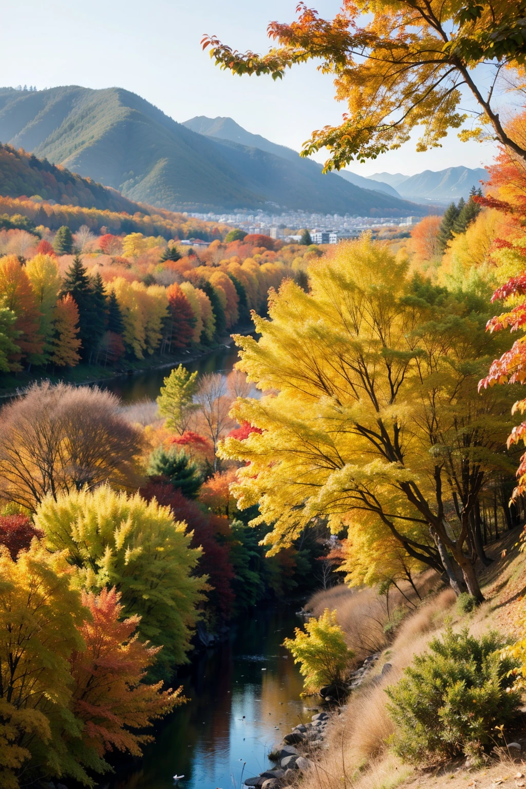 The mountains are sprawling,The forest is dyed,maple leaves like fire,Egrets dance,What a charming autumn color picture。