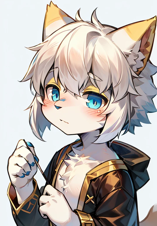 Bright Eyes, character bust photo, Q version, 头像框, Character focus, alone, hairy, hairy male cat, Male yellow-white fur, blue eyes, white hair (long) Loli style, Little cute, will sell cute, blush, has a tail