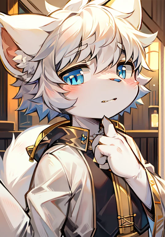Bright Eyes, character bust photo, Q version, 头像框, Character focus, alone, hairy, hairy male cat, Male yellow-white fur, blue eyes, white hair (long) Loli style, Little cute, will sell cute, blush, has a tail