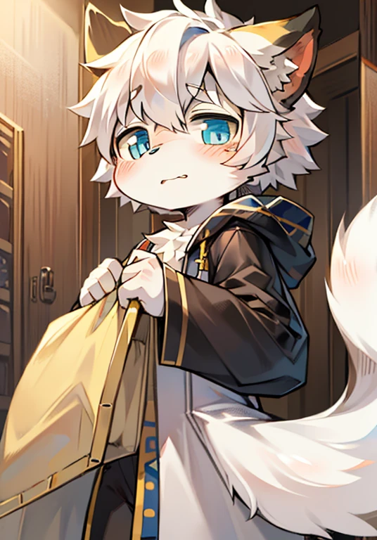Bright Eyes, no clothes are worn, Q version, 头像框, Character focus, alone, hairy, hairy male cat, Male yellow-white fur, blue eyes, white hair (long) Loli style, Little cute, will sell cute, blush, has a tail