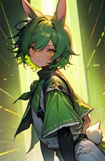 1 femboy, short green hair, light orange eyes, rabbit ears costume