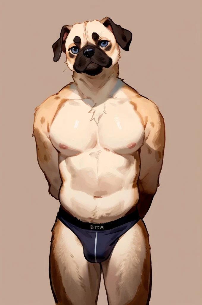 best quality,ultra-detailed,realistic,(portrait,photo-realistic:1.37),(furry:1.1),(anthro:1.1),solo,pug,standing,male,beautiful detailed eyes,beautiful detailed lips,long eyelashes,hands behind back,wearing underwear,simple background,front view,by bebebebebe,by buta99,by inu-sama