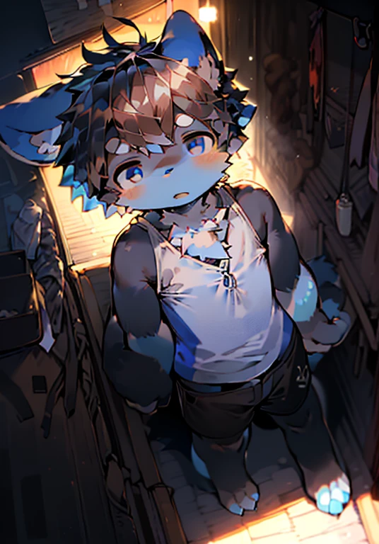 (bright environment: 0.8), masterpiece, high quality, abstract research, number\(artwork\), by dagashi, Yes, Kiyoyama, (Hana charcoalo, fluffy fur, Character focus: 1.1), Hana charcoalo Male Cat, short hair, portrait , Bright Eyes, panoramic, Character focus. (background: 0.7), alone, hairy, hairy男性, male focus, Hana charcoal, (Full body fur, hairy尾巴, blue white dark blue fur, black eyes, black hair: 1.2), (small canine, Tank top shorts: 1.2), (Internal, morning, beach, blankets: 1.1)