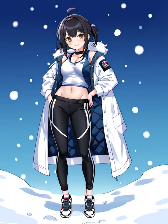 very detailed、masterpiece、(snow mountain background):1.3、a woman in a (white down vest at northface):1.4, white puffer vest and black pants posing for a picture, model is wearing techtical vest, sportswear, sportswear, かわいいsportswear, nanocarbon-vest, white!!, white coat, tech wear women pictures, 2 techwear women, catalog photo, stylish coat for rave, full body photo, future inflatable jacket, Miko, Kim Woo
