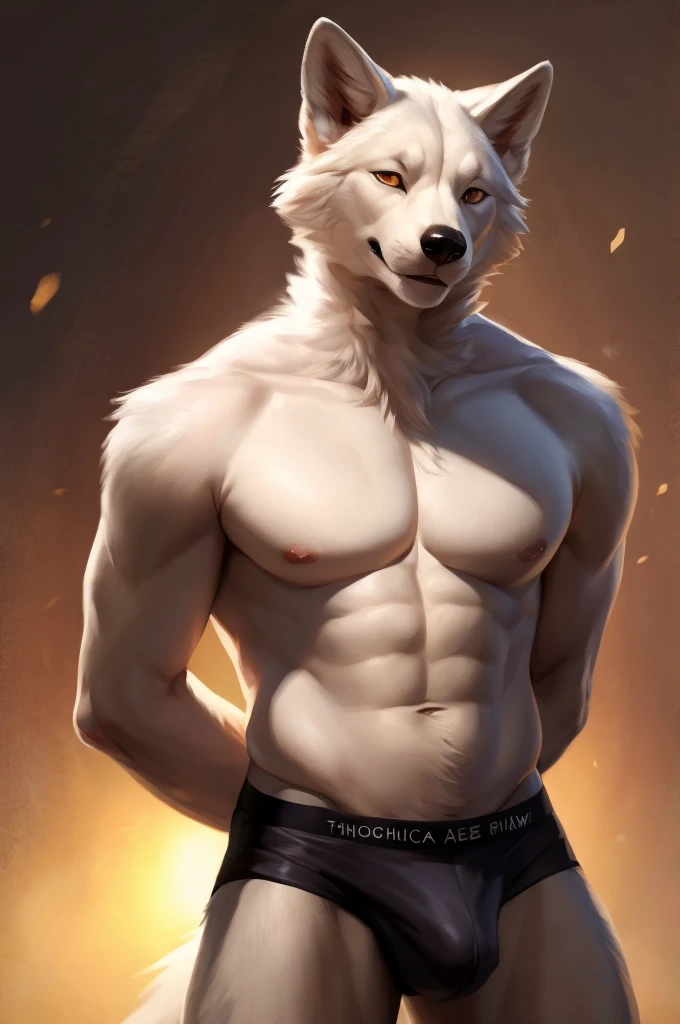 solo,furry,anthro,Arctic fox,male,standing,simple background,front view,wearing underwear,hands behind back,e621,by bebebebebe,by buta99,by inu-sama,by chunie,(best quality,4k,8k,highres,masterpiece:1.2),ultra-detailed,(realistic,photorealistic,photo-realistic:1.37),vivid colors,sharp focus,studio lighting,bokeh