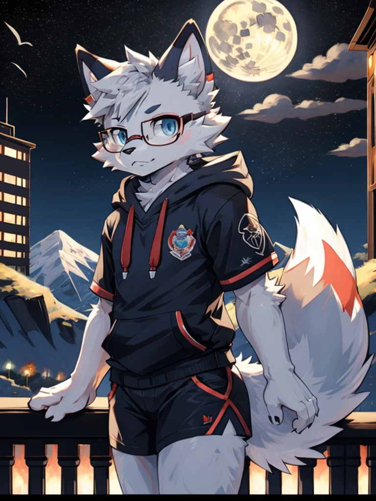 alone, Wolf, furry male, High, white fur, short hair, gray hair around forehead, (Light gray ear roots:1.2), (red ear tips:1.2), dark blue eyes, Big long tail, White tail tip, White arms, Pink flesh color meat pad, (Light blue and white hoodie:1.1), short sleeves, black shorts, Glasses, stand, wave paw, night, dark sky, Large open balcony, distant mountains, modern city, dark sky, full moon, close up, whole body, detailed characters