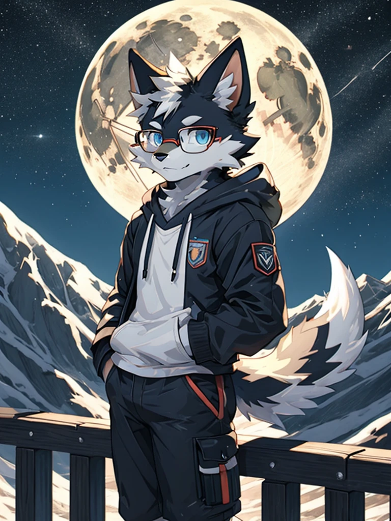 alone, Wolf, furry male, High, white fur, short hair, gray hair around forehead, (Light gray ear roots:1.2), (red ear tips:1.2), dark blue eyes, Big long tail, White tail tip, White arms, Pink flesh color meat pad, (Light blue and white hoodie:1.1), short sleeves, black shorts, Glasses, stand, wave paw, night, dark sky, Large open balcony, distant mountains, modern city, dark sky, full moon, close up, whole body, detailed characters