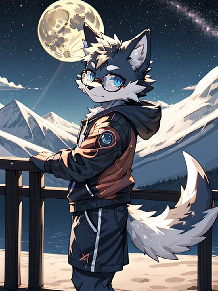 alone, Wolf, furry male, High, white fur, short hair, gray hair around forehead, (Light gray ear roots:1.2), (red ear tips:1.2), dark blue eyes, Big long tail, White tail tip, White arms, Pink flesh color meat pad, (Light blue and white hoodie:1.1), short sleeves, black shorts, Glasses, stand, wave paw, night, dark sky, Large open balcony, distant mountains, modern city, dark sky, full moon, close up, whole body, detailed characters
