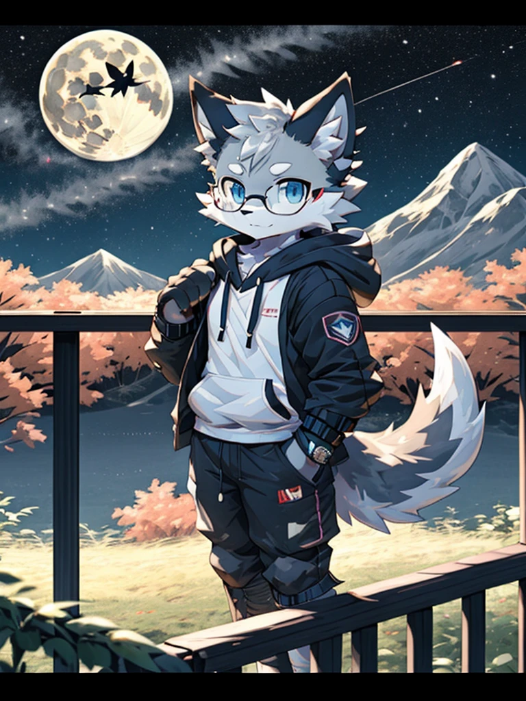 alone, Wolf, furry male, High, white fur, short hair, gray hair around forehead, (Light gray ear roots:1.2), (red ear tips:1.2), dark blue eyes, Big long tail, White tail tip, White arms, Pink flesh color meat pad, (Light blue and white hoodie:1.1), short sleeves, black shorts, Glasses, stand, wave paw, night, dark sky, Large open balcony, distant mountains, modern city, dark sky, full moon, close up, whole body, detailed characters