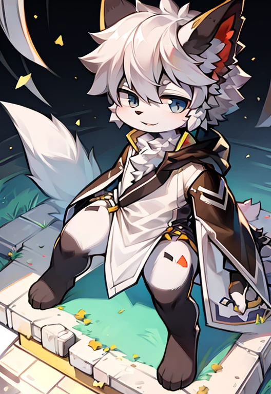 best quality, masterpiece, high resolution, no clothes are worn,Gray and white fur, silver hair and different eyes