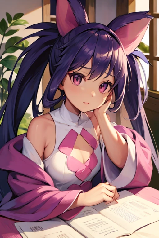 IRISC, DD-cup