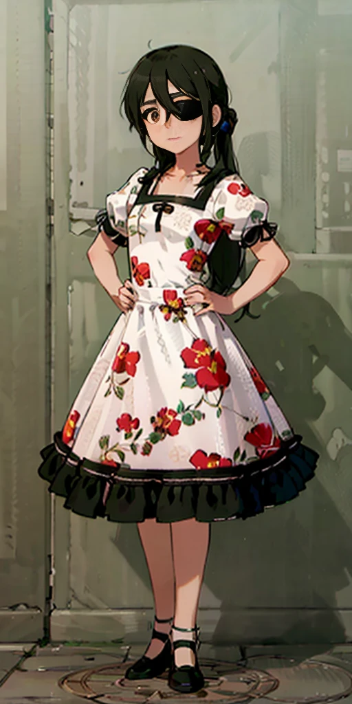 1 girl, ((masterpiece, sidelighting, beautiful eyes: 1.2), ultra-detailed, ultra high res, professional lighting, high quality makeup, beautiful detailed eyes), (best-quality:0.8), perfect anime illustration, beautiful, flat color background, simple background, full body , looking_at_viewer, solo, (full body:1.5), brown hair, dark brown eyes, (small breasts:1.1), solo,HuasaChile, Huasachina, shash, puffy dress, dress, puffy short sleeves, pantyhose, black footwear, floral print, print dress, hand on hip, handkerchief,toph, (blind:1.5)